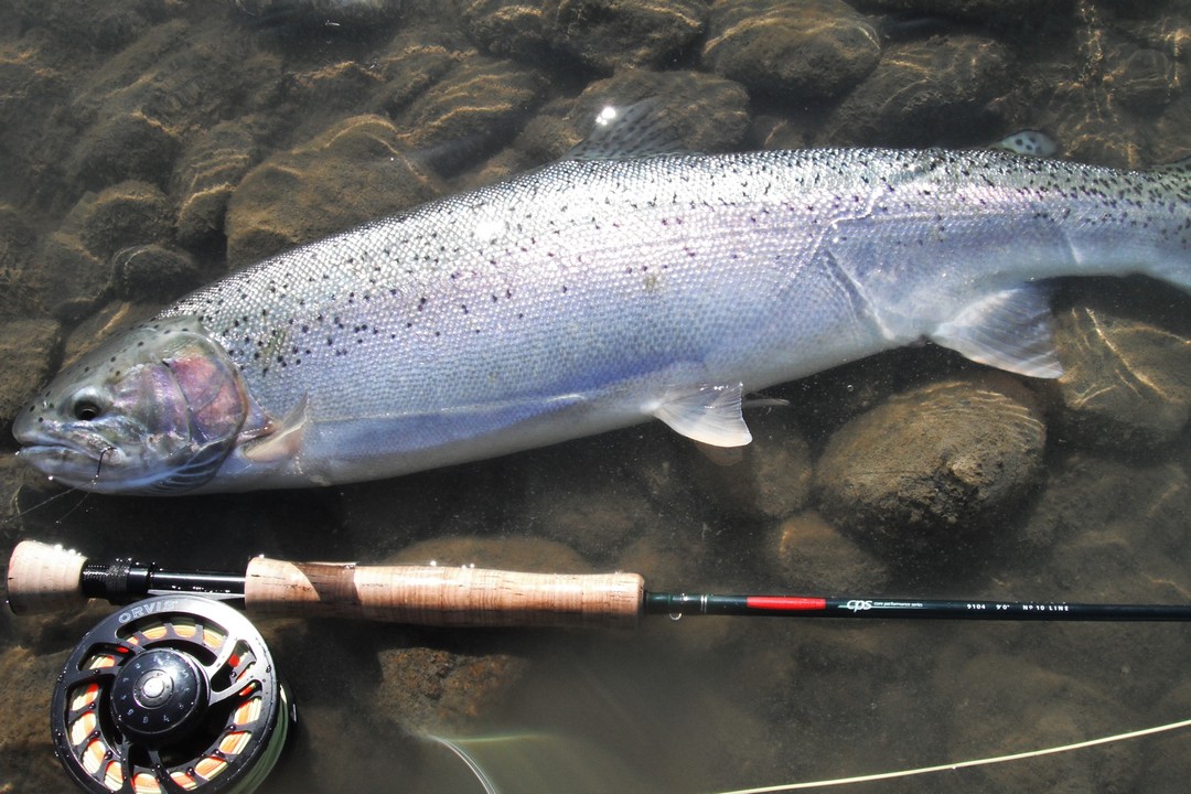 Alaska Lodge Fishing Trip