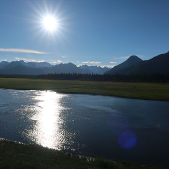 Alaska Sun on Water Bear Camp Square